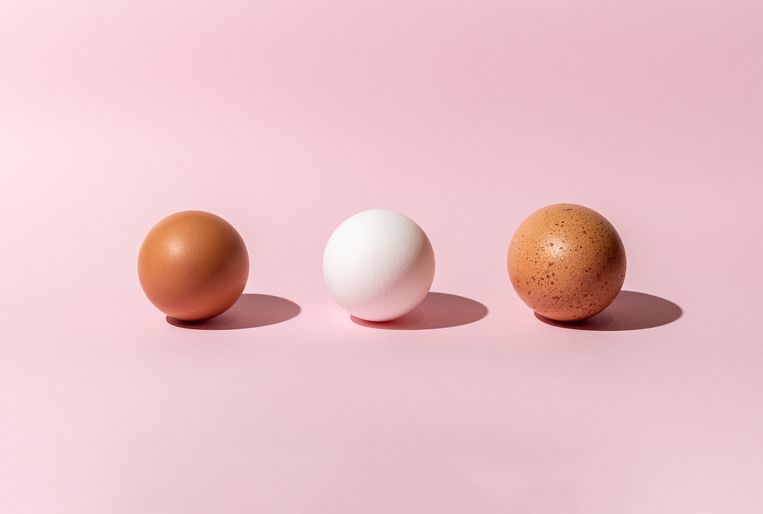 Deze invloed heeft het eten van 5 eieren per week op je gezondheid. Beeld Getty Images