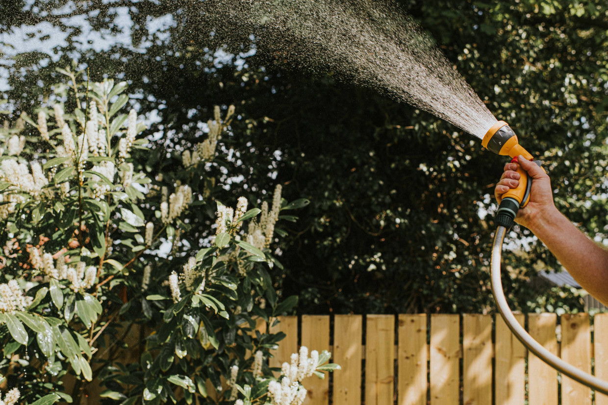 Elke Dag Kort Of Een Keer Per Week Lang: Zo Vaak Moet Je De Tuin Sproeien