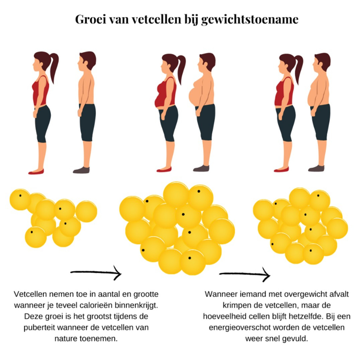 Top 54 Ik Wil Graag Afvallen Maar Het Lukt Niet